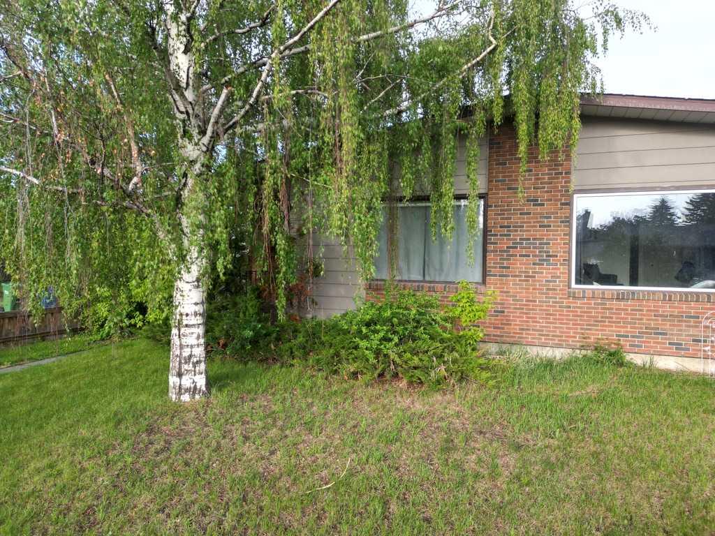 Picture for 59 Nichols Crescent 