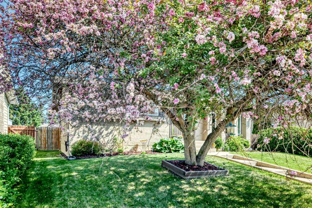 Picture for 8 Haliburton Crescent 