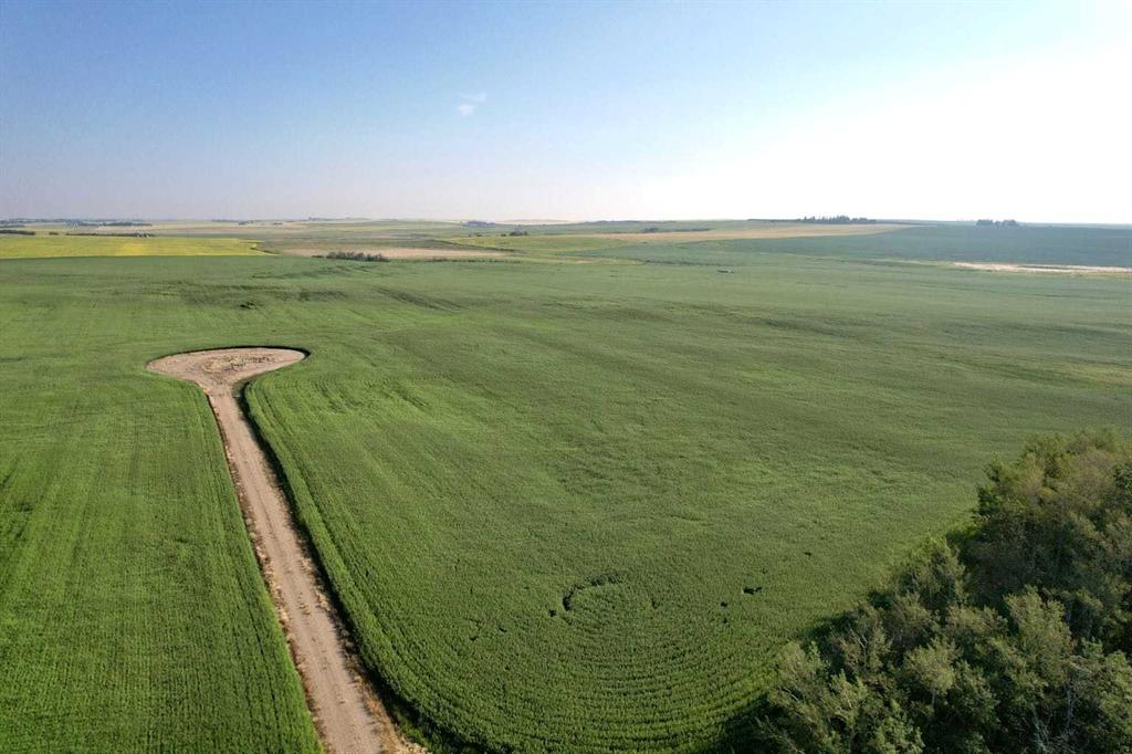 Picture for In Kneehill County  