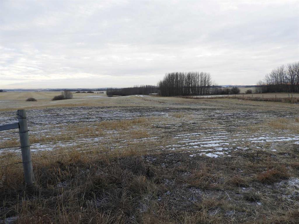 Picture for Near Clive  