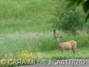 Picture for 29, 420069 Range Road 284  