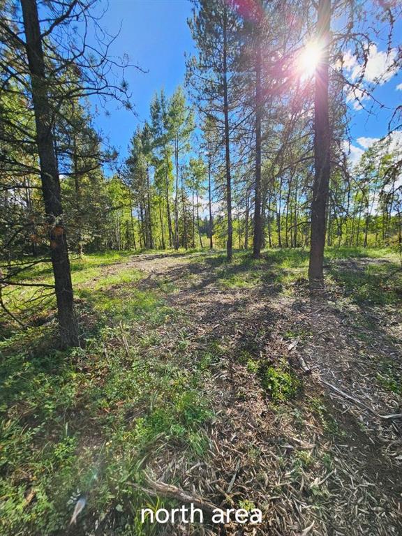 Picture for  Pine Ridge Drive 