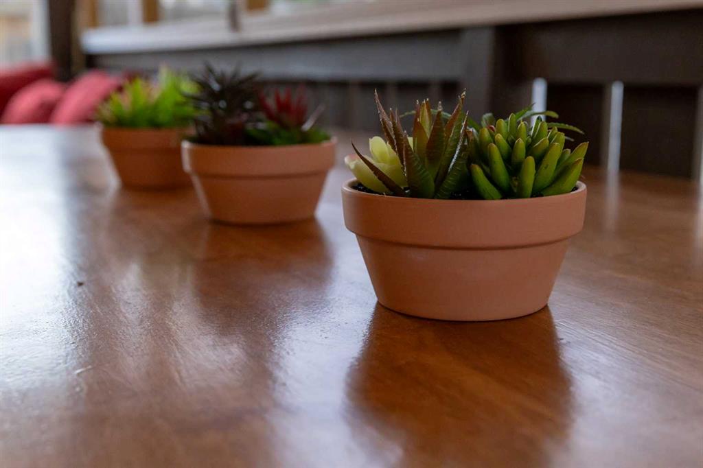 Picture for 21 Watson Street  https://www.cirrealty.ca/reb/cara/8/A2267608_13.jpg