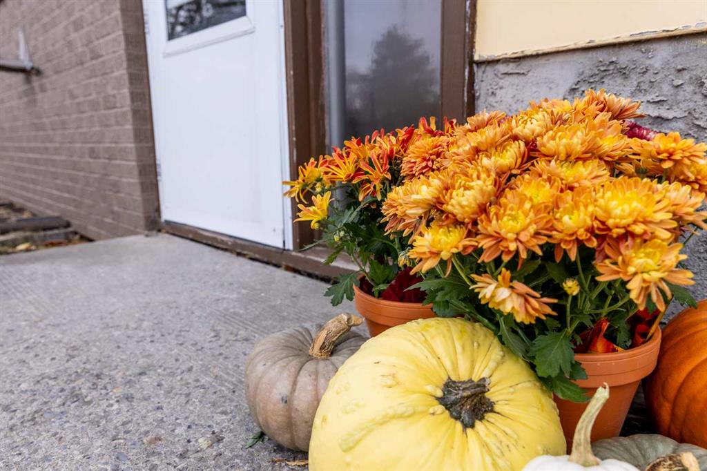 Picture for 21 Watson Street  Picture for 21 Watson Street