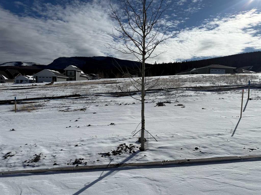 Picture for 449 LILY Avenue 