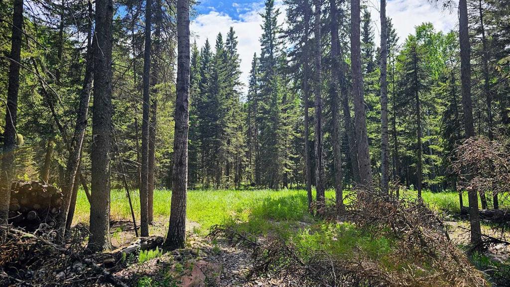 Picture for 31, 5209 Township Road 325A  