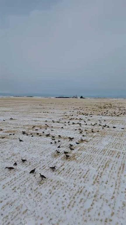 Picture for 13971 15 Street NE  