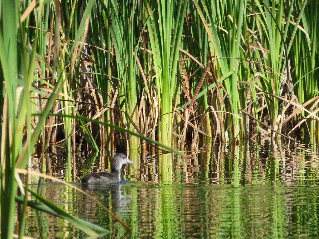 Picture for 6600 58 Avenue  