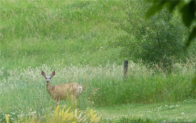 Picture for 1, 420069 Range Road 284  