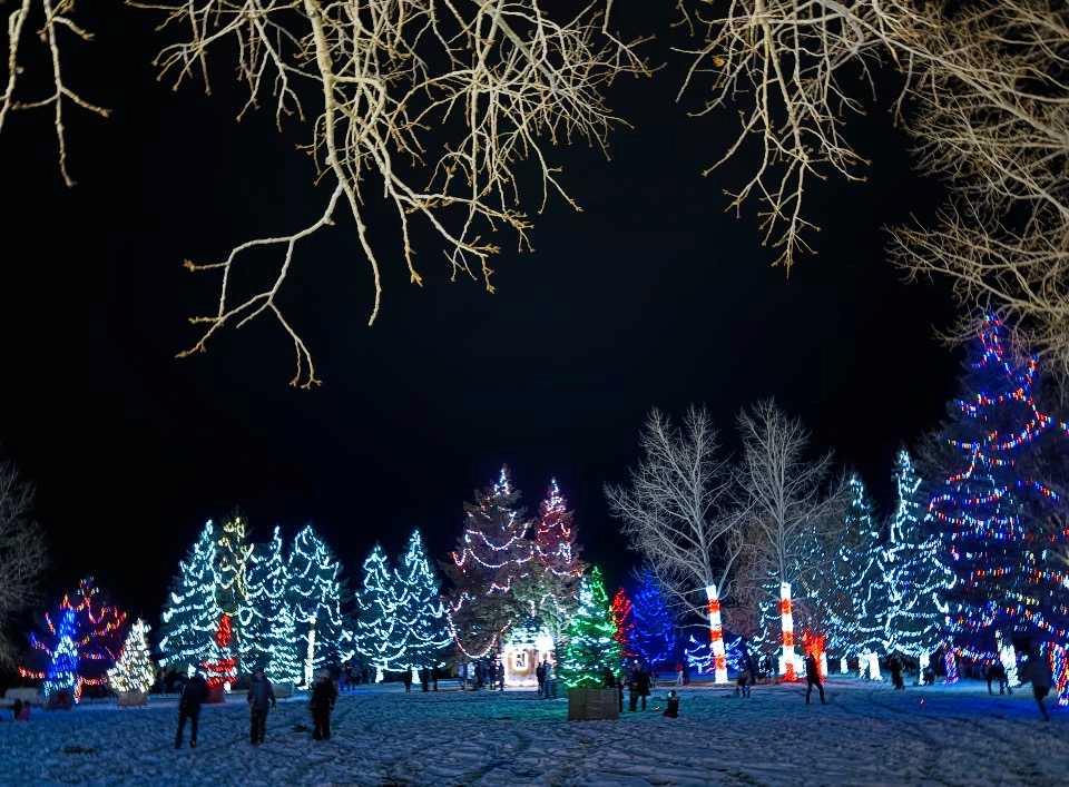 Picture for 2102, 5220 50A Avenue 