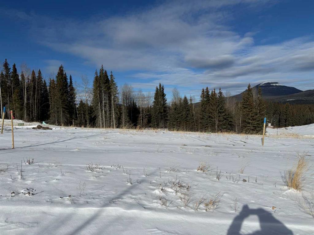 Picture for 436 LILY Avenue 