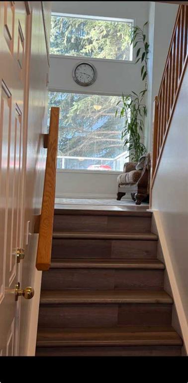 Picture for 35 Kingsland Villas SW