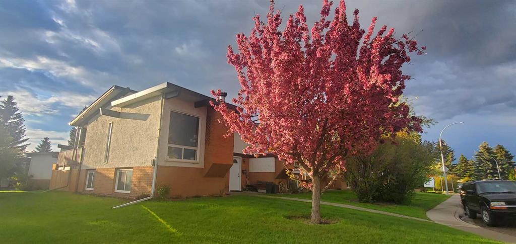 Picture for 241 Pinemont Road NE