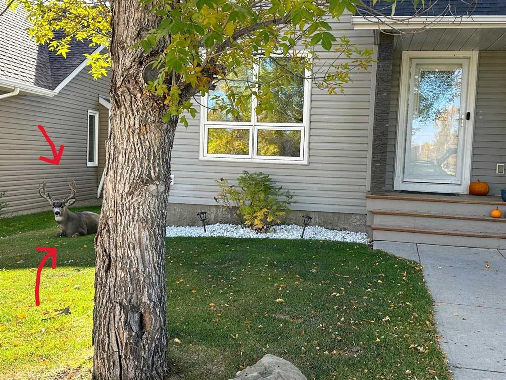 Picture for 135 Westridge Close 