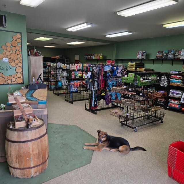 Picture for 4, 517 10 Avenue 