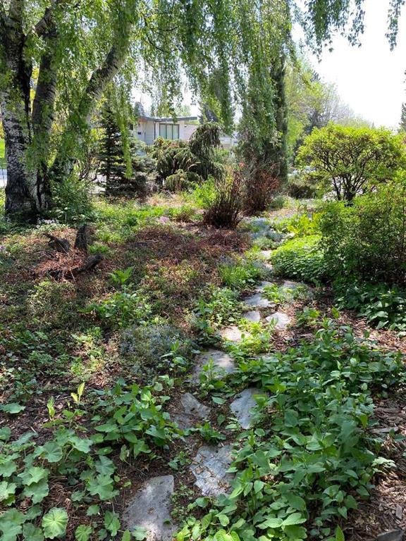 Picture for 2704 48 Avenue NW