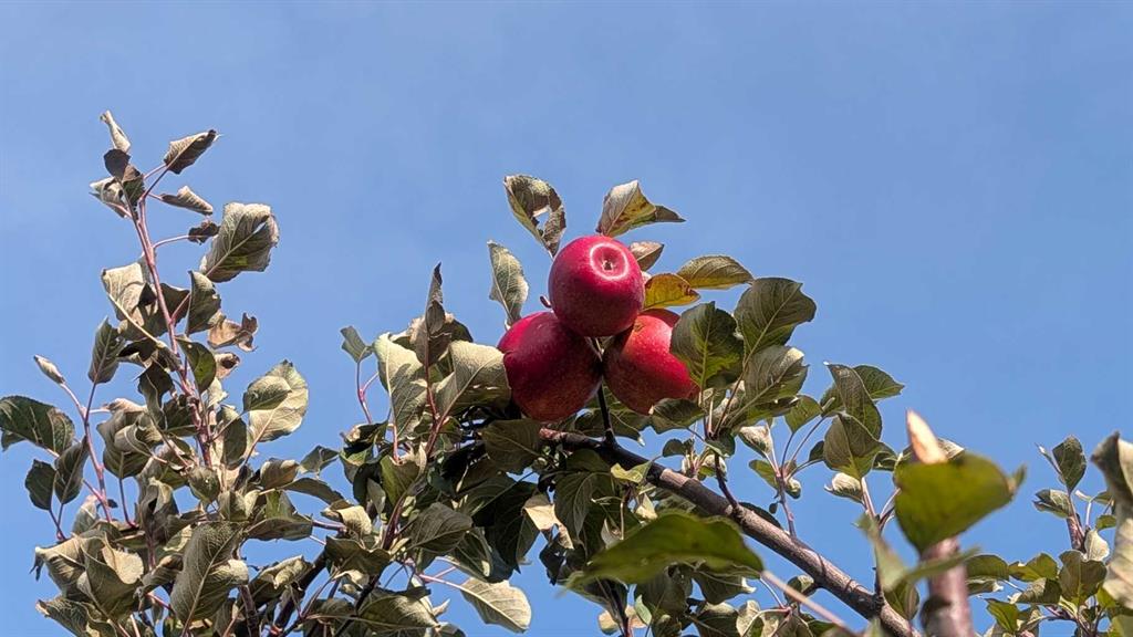 Picture for 430 Pinehill Road NE