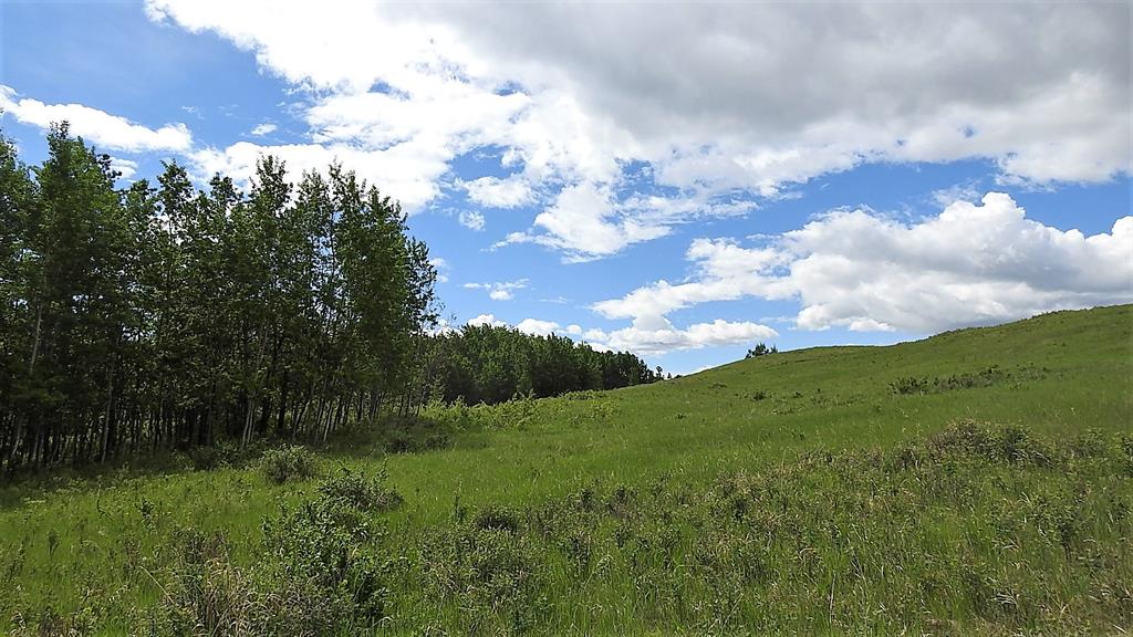      10 , 290254 96 Street W , Rural Foothills M.D., 0111   ,T1S 1A2 ;  Listing Number: MLS A2000112