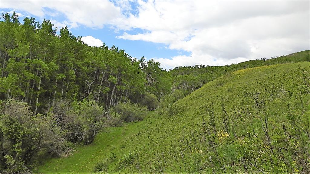      10, 290254 96 Street W , Rural Foothills County, 0111   ,T1S 1A2 ;  Listing Number: MLS A2000112