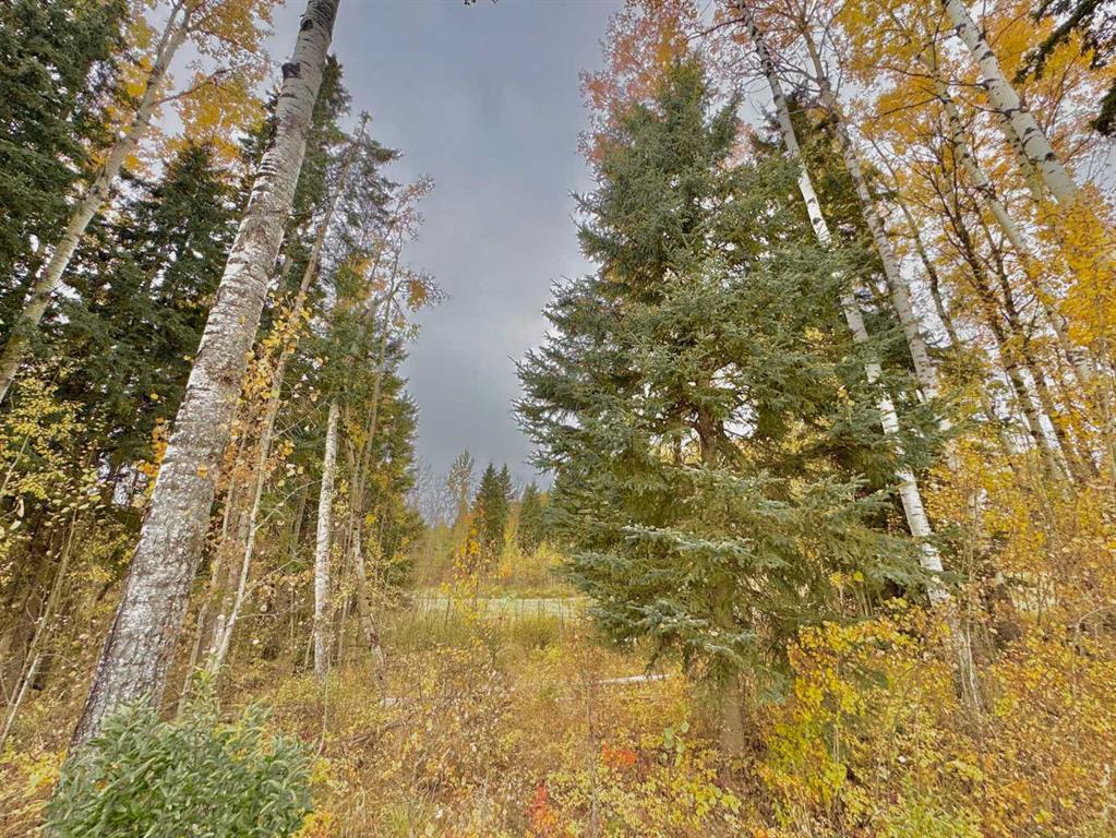 Picture for 301 Valley View Drive 