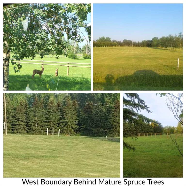 Picture for 284A Range Road 