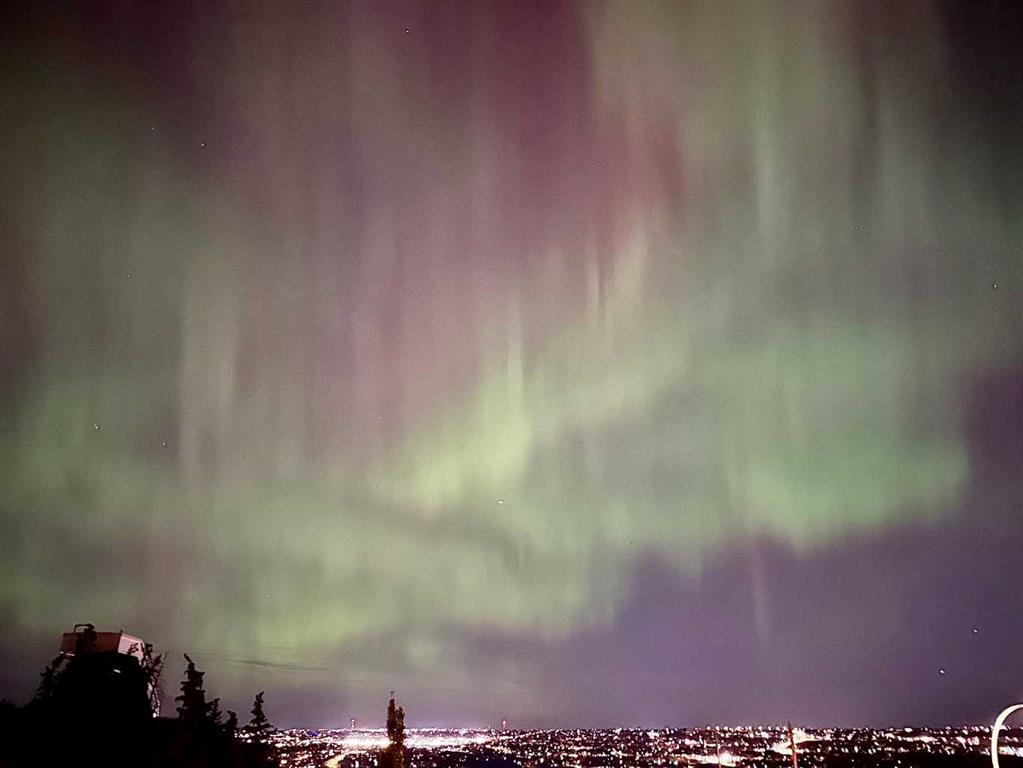 Picture for 61 Cougar Ridge Cove SW