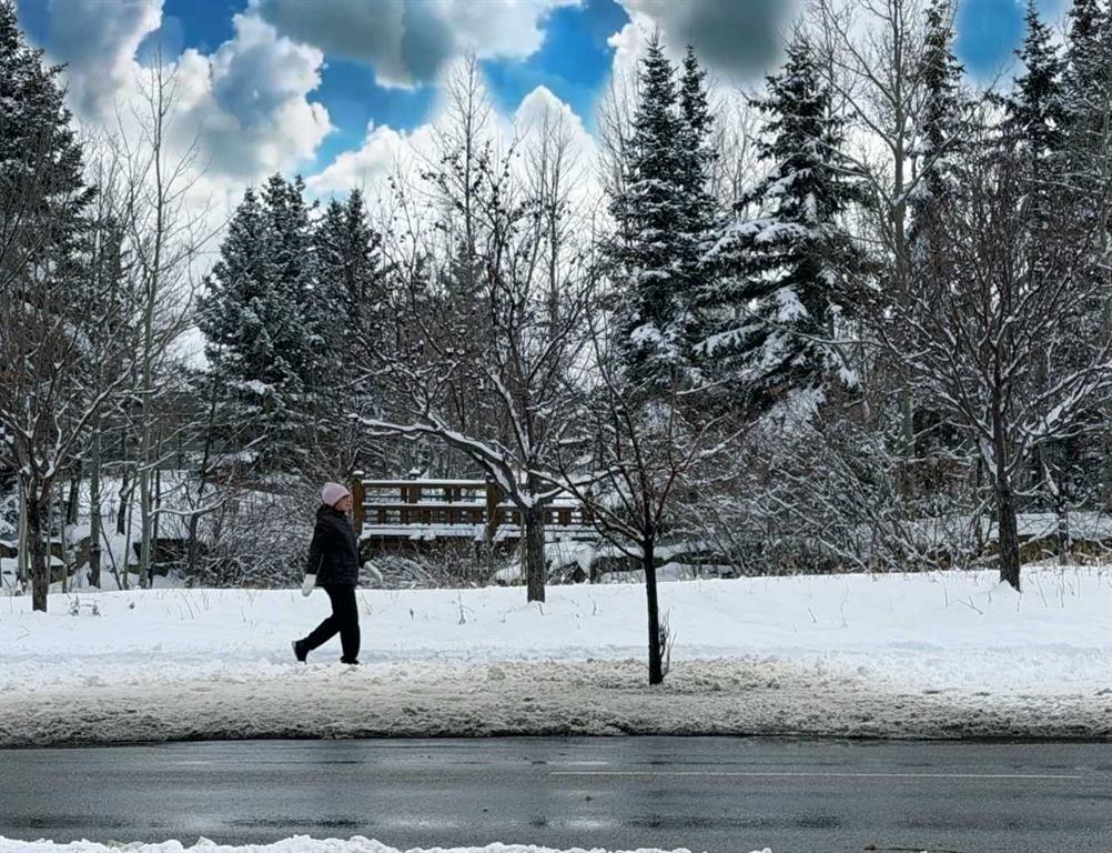 Picture for 2117, 2518 Fish Creek Boulevard SW