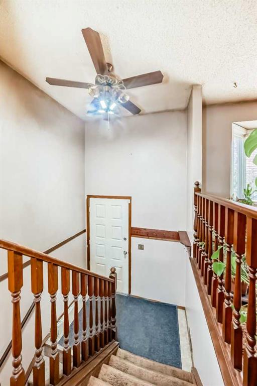 Picture for 43 Mckenna Way SE