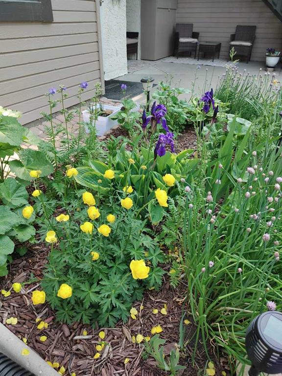 Picture for 141 Cedar Springs Gardens SW