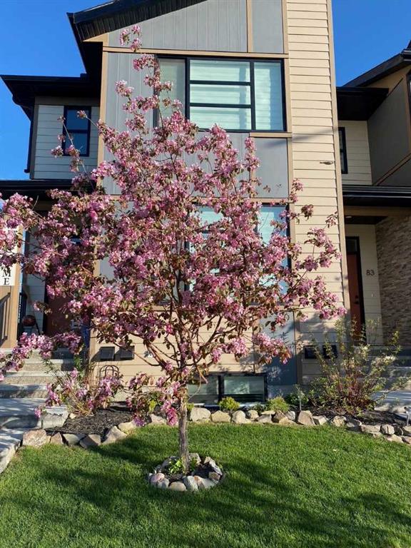 Picture for 91 Wolf Hollow Park SE