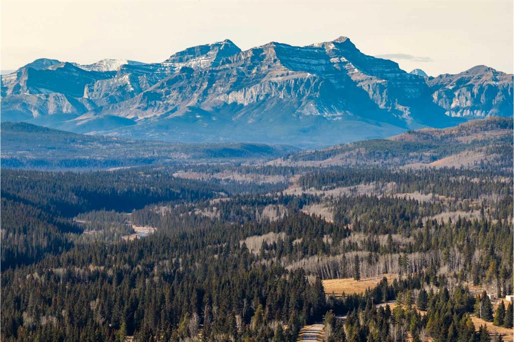 Picture for 4 Forestry Trail  