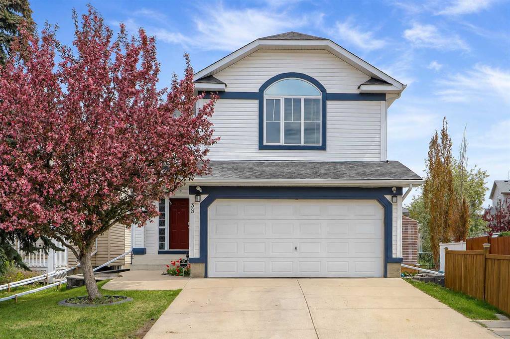 Picture for 36 Mt Selkirk Close SE