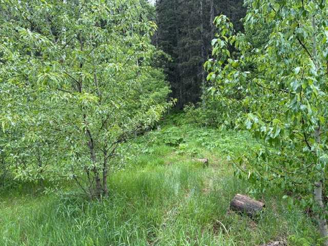 Picture for 229 Mountain Lion Drive 