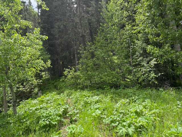 Picture for 229 Mountain Lion Drive 