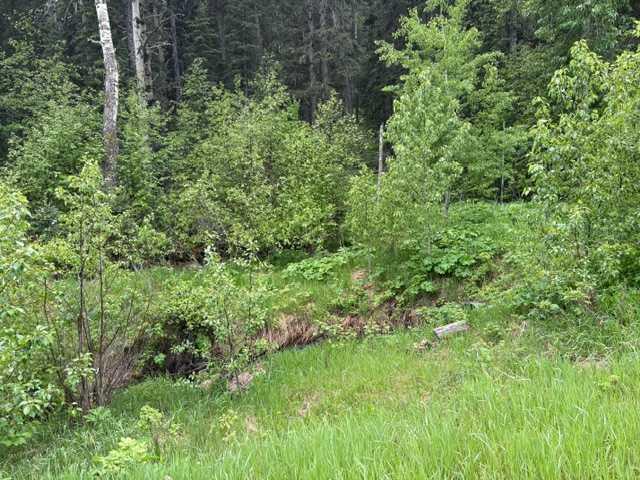 Picture for 229 Mountain Lion Drive 