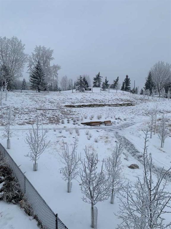 Picture for 160 Crimson Ridge Place NW