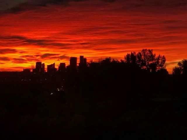 Picture for 202, 520 Cedar Crescent SW