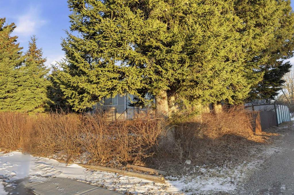 Picture for 317 Centre Street 