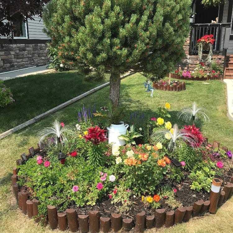 Picture for 23 Kingston View SE