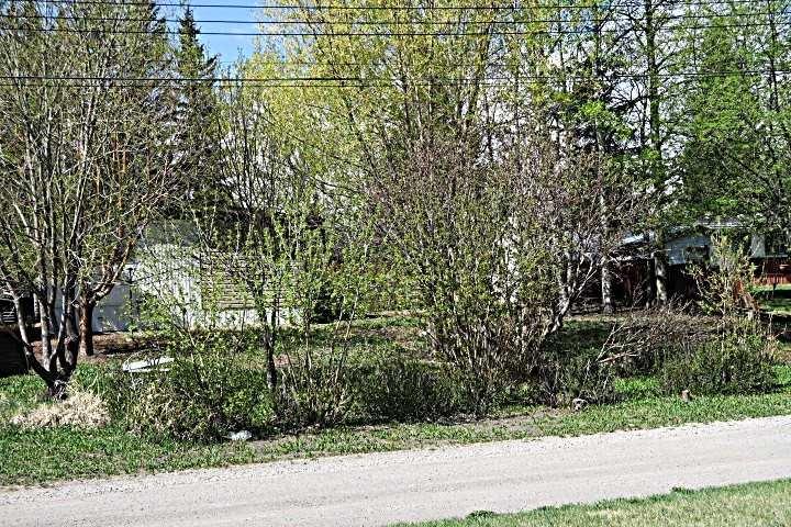 Picture for 207 4 Street NW