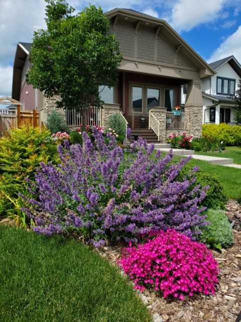 Picture for 7 Arnica View 