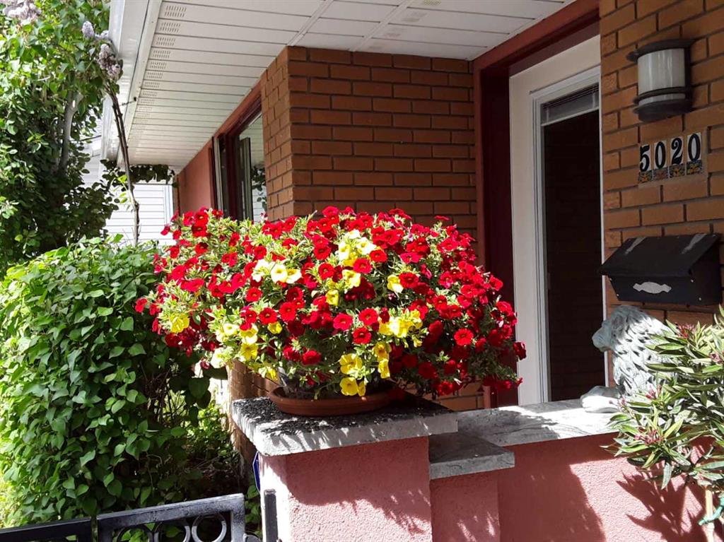 Picture for 5020 Nemiskam Road NW