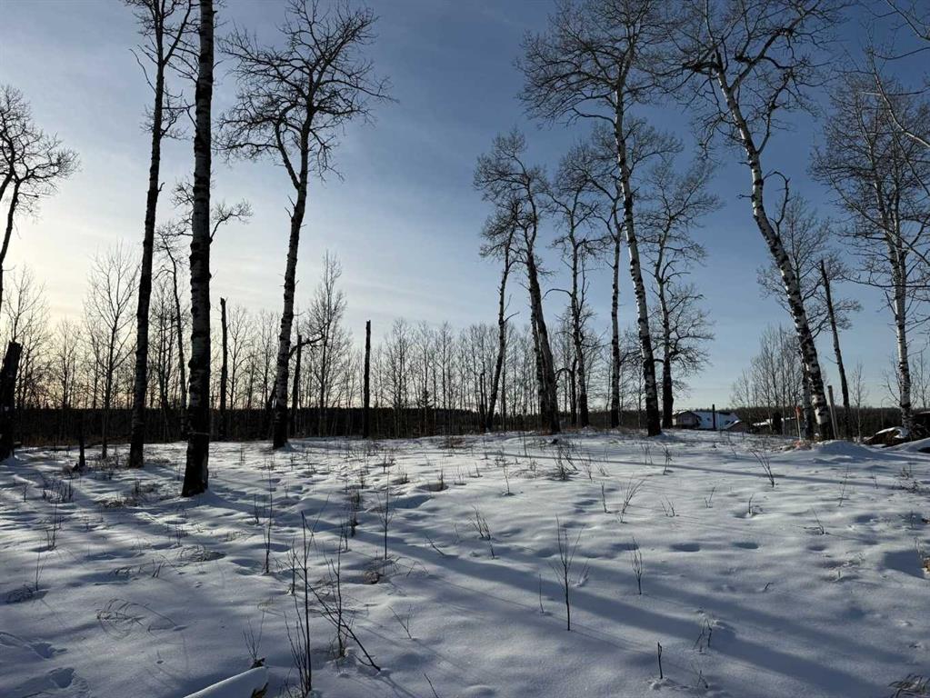 Picture for 3, 5228 Highway 579  