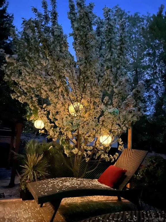 Picture for 7 Mountain Park Circle SE