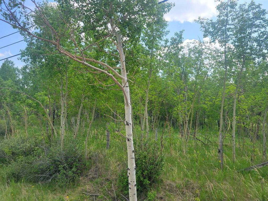 Picture for 24166 Old Banff Coach Road 