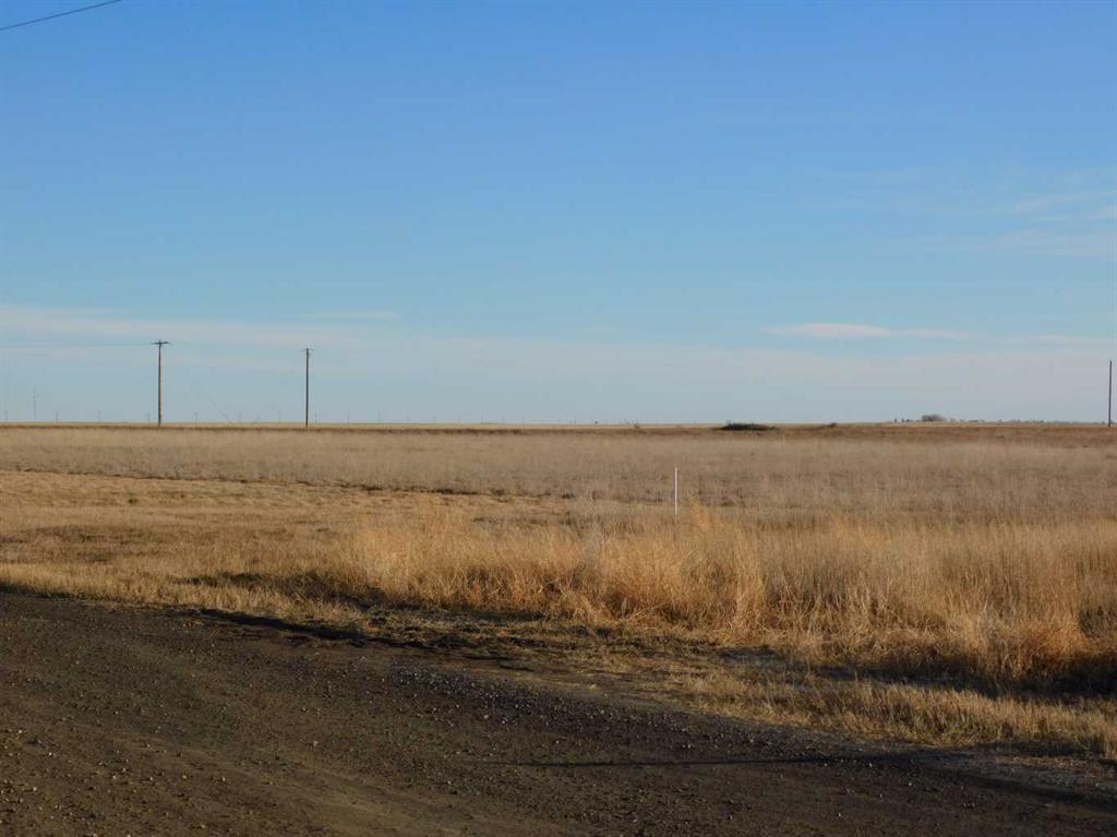 Picture for 31 and 31A Leavings Street E