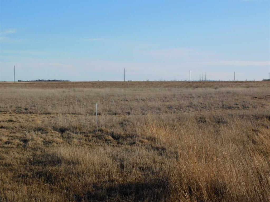 Picture for 31 and 31A Leavings Street E