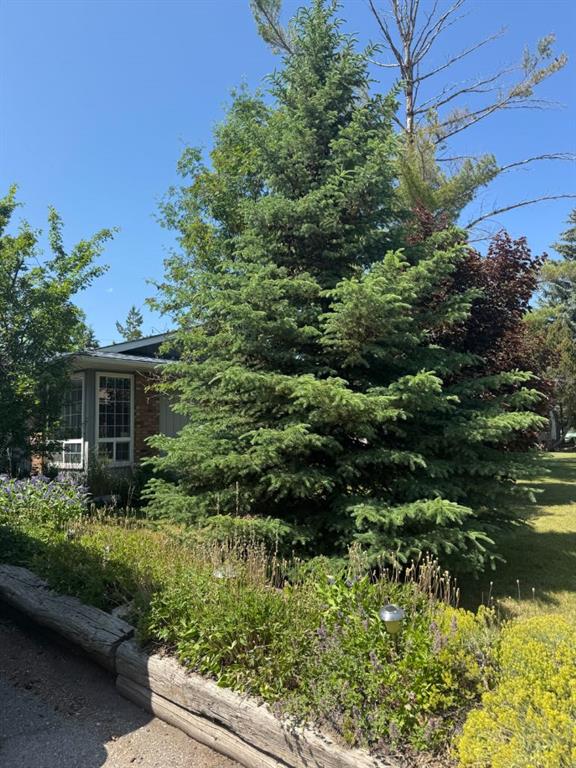 Picture for 431 Queen Charlotte Drive SE