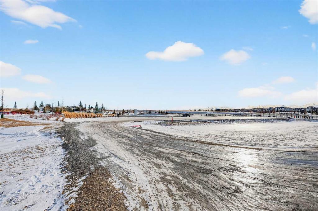 Picture for 1008 Sailfin Heath 