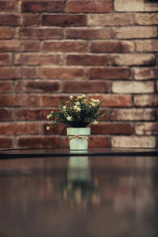 Picture for 123 Calgary Street SE